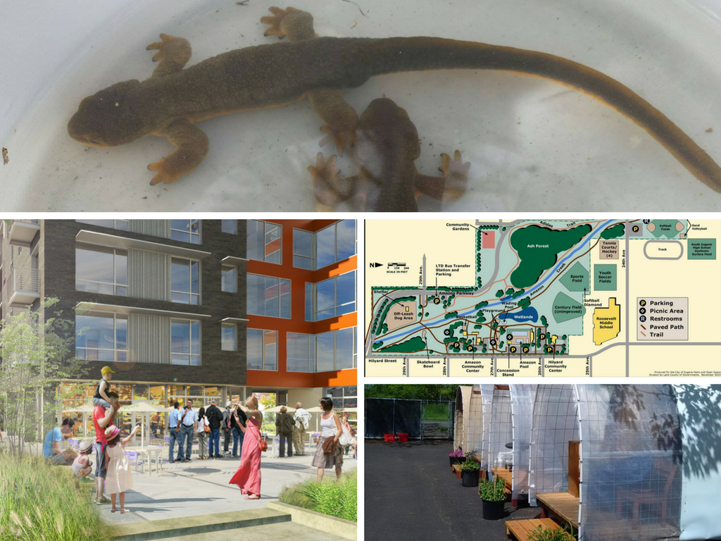 Eugene, Oregon: Amazon Mile Walking Tour