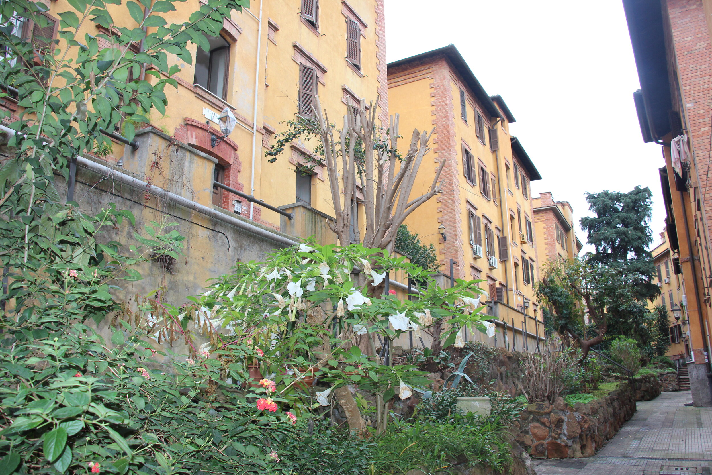 IMG_1512 - Irene Ranaldi.JPG