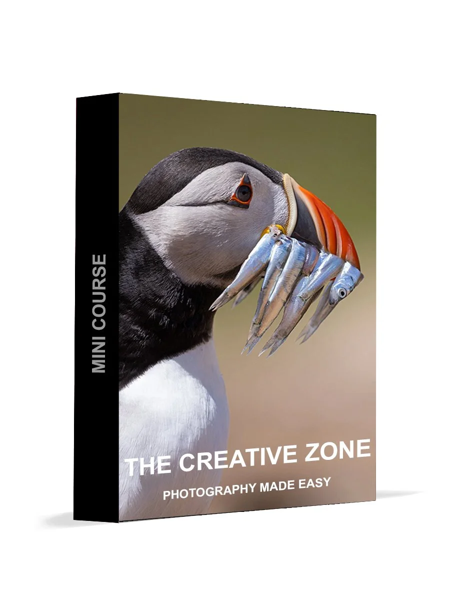 Creative Zone PDF
