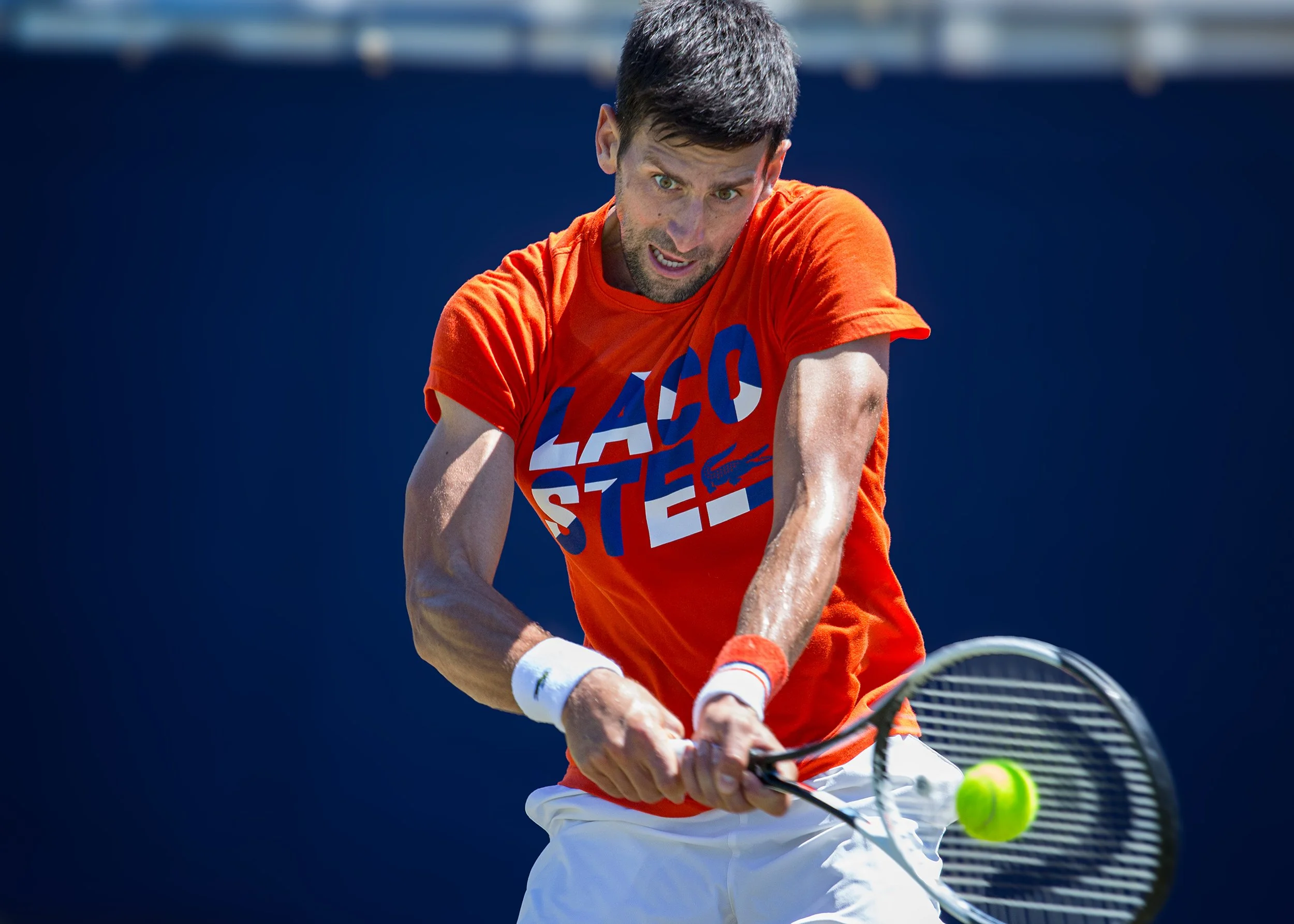 IMGL5029-new2026 copy.jpg