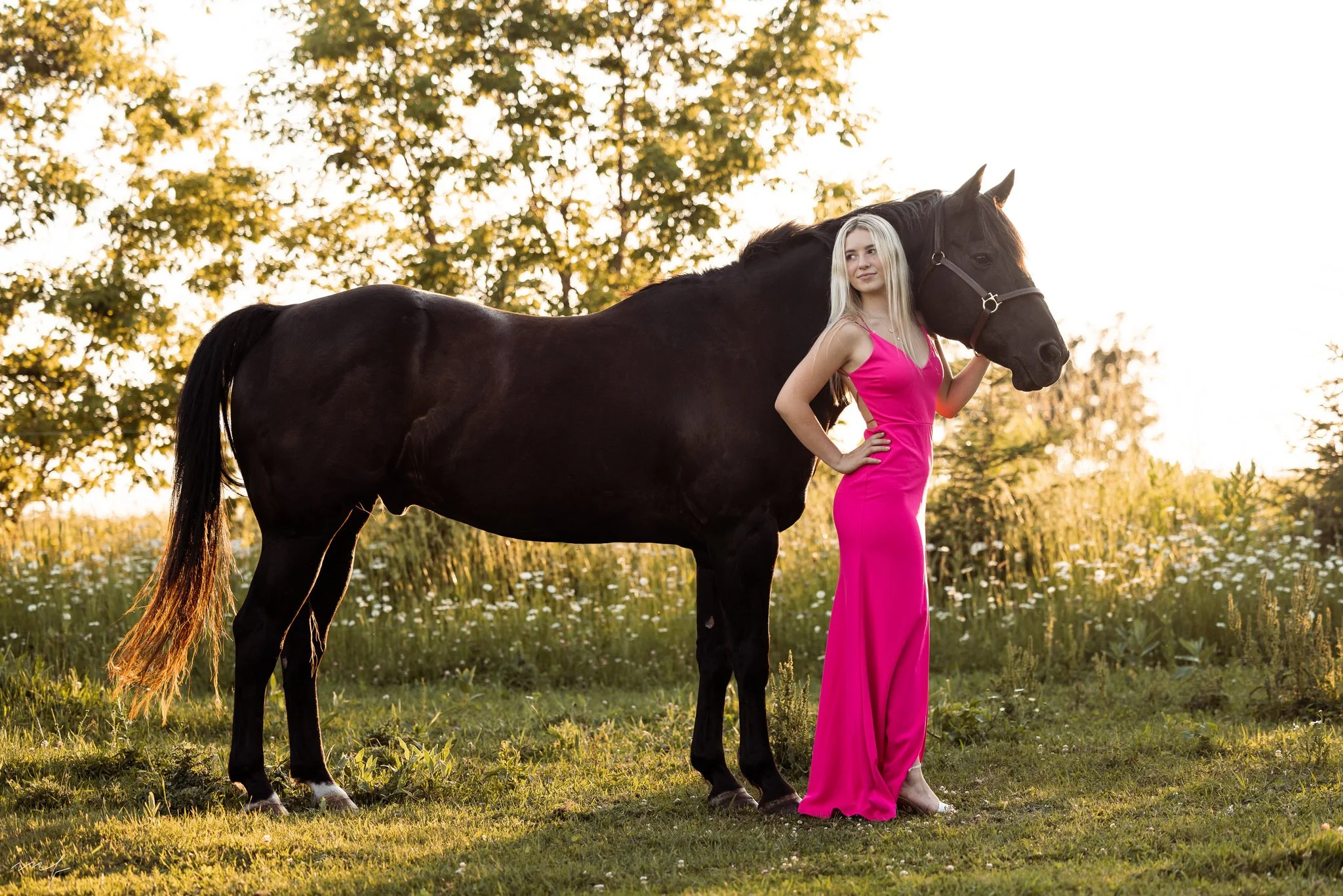 664A3684-Edit.jpg
