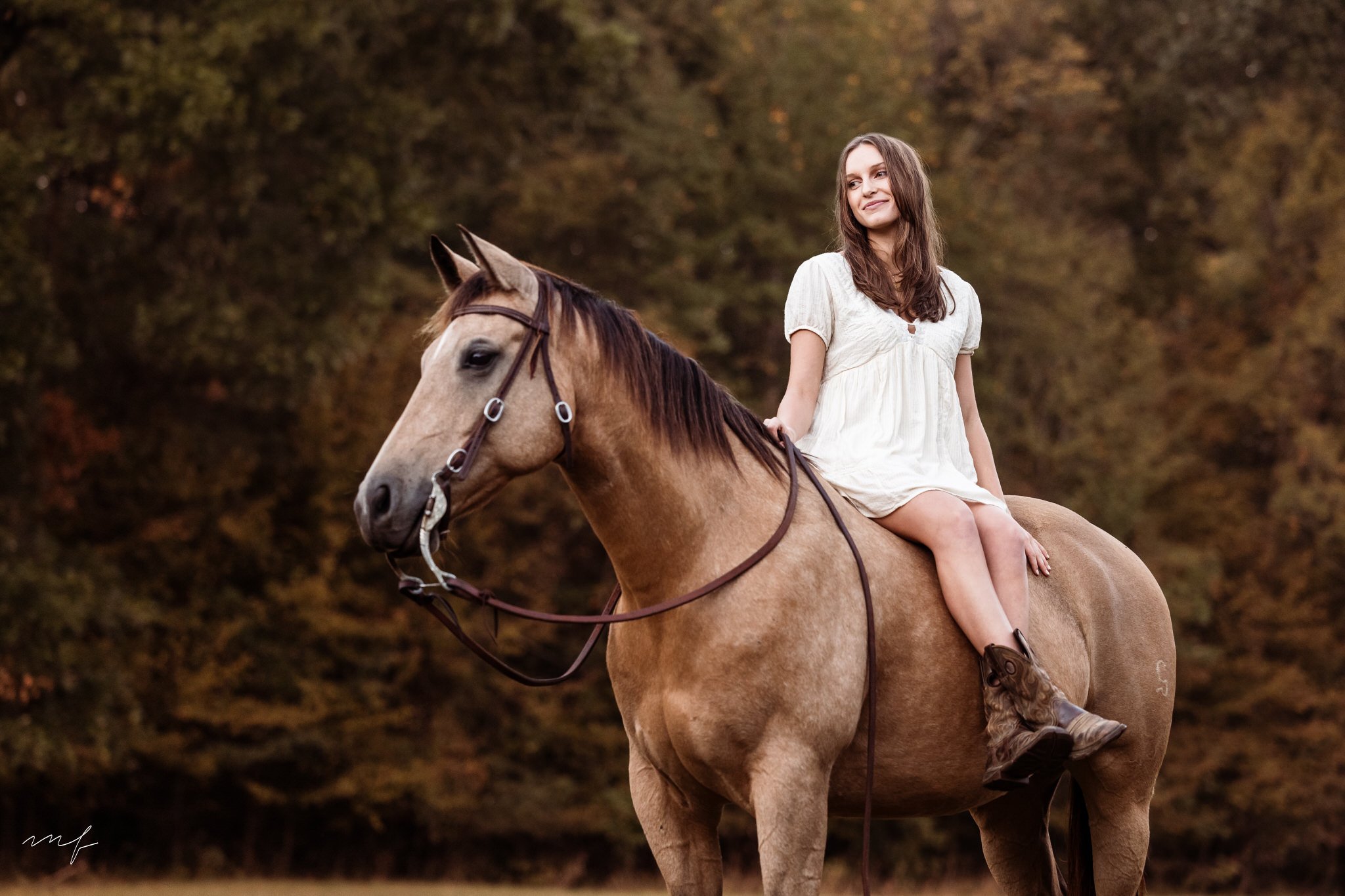 Horse Photography Blog — Mariah Farmer Photography
