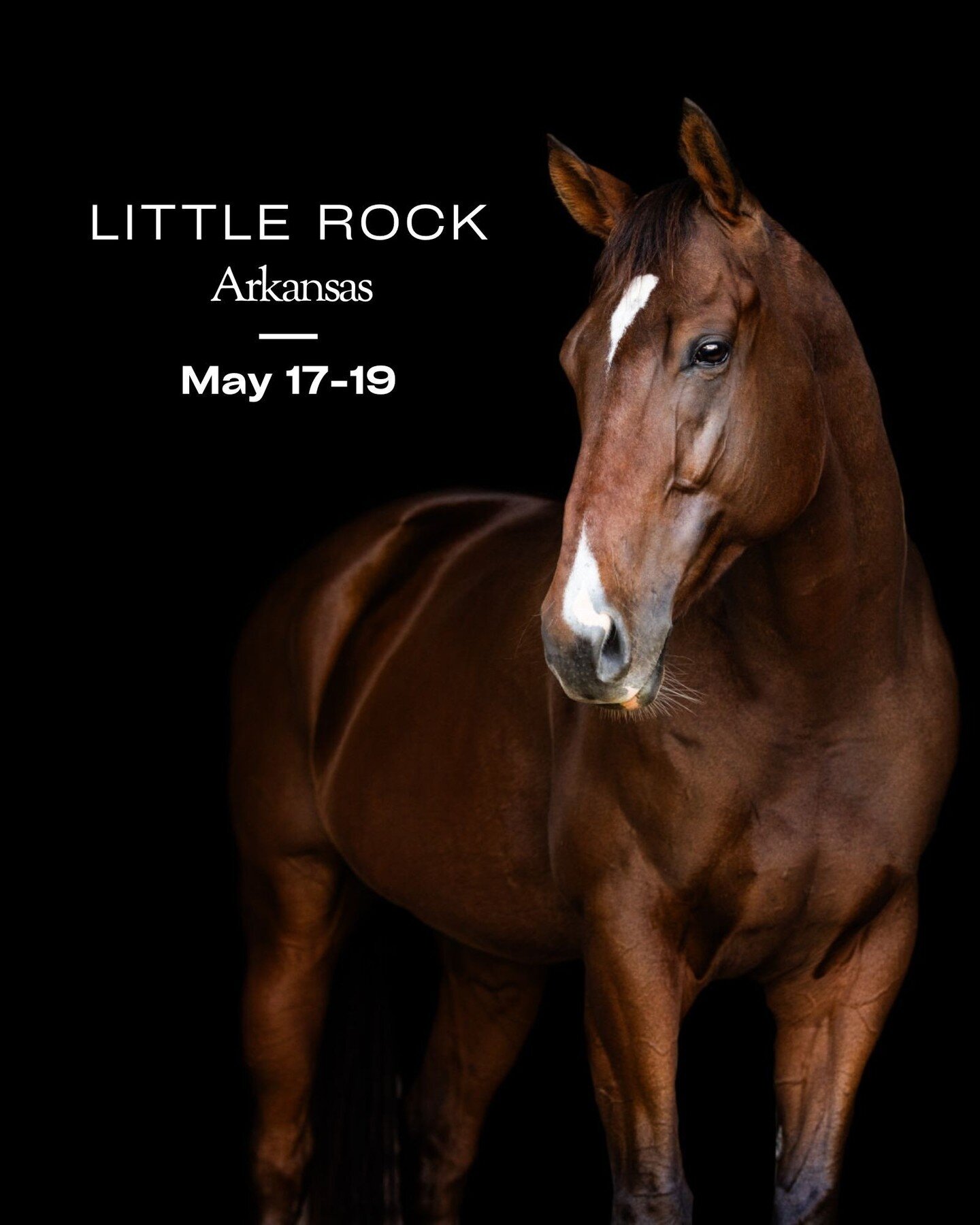 I&rsquo;m headed to Little Rock again and am thrilled to be offering Fine Art Sessions as well as Horse &amp; Rider Session while I&rsquo;m in town. With cooler temps, minimal bugs, and spring greenery, May offers an ideal backdrop for stunning image