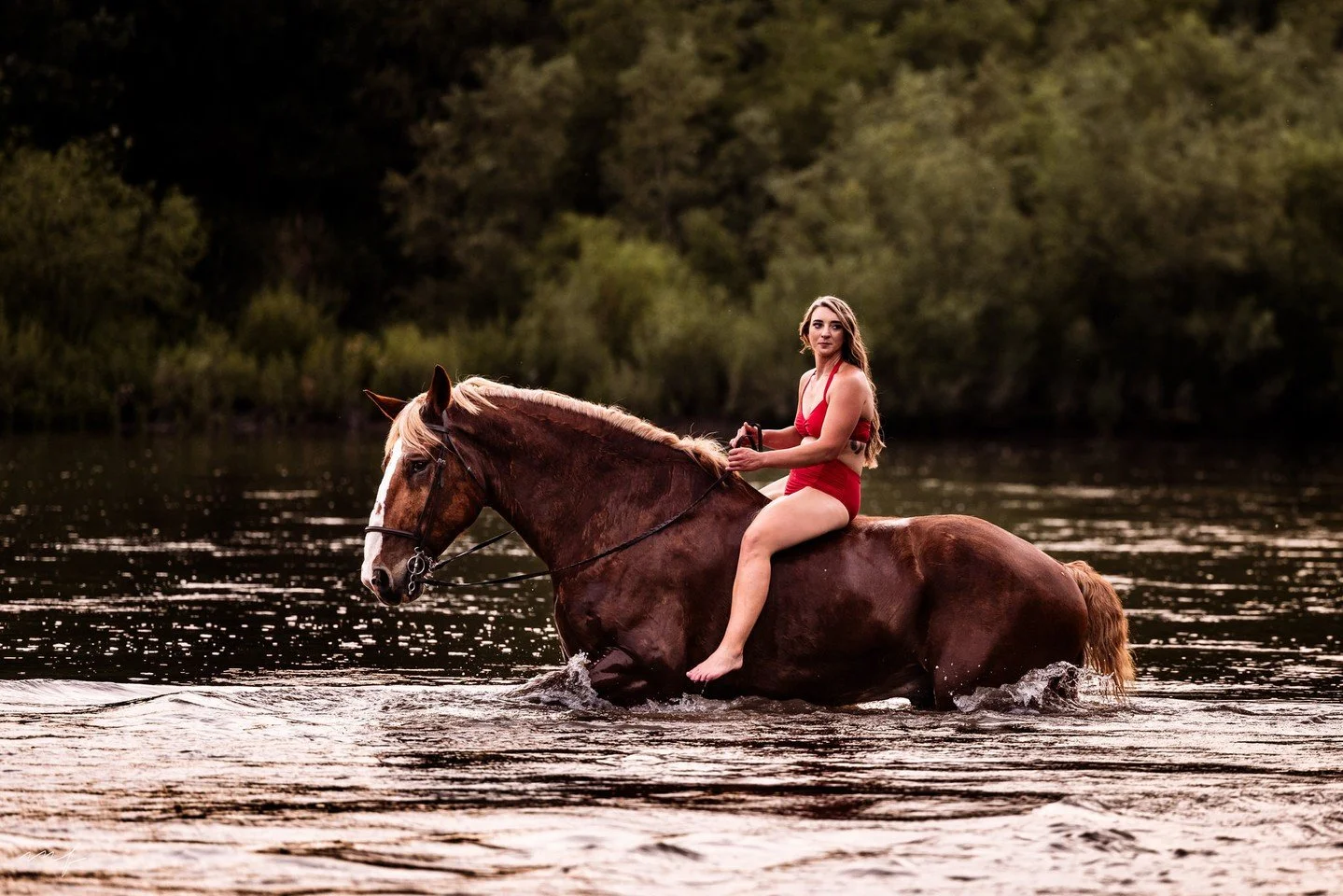 The pools close after tomorrow but that doesn't mean you can't bring your horse to the river....and call me, I'll bring my camera!