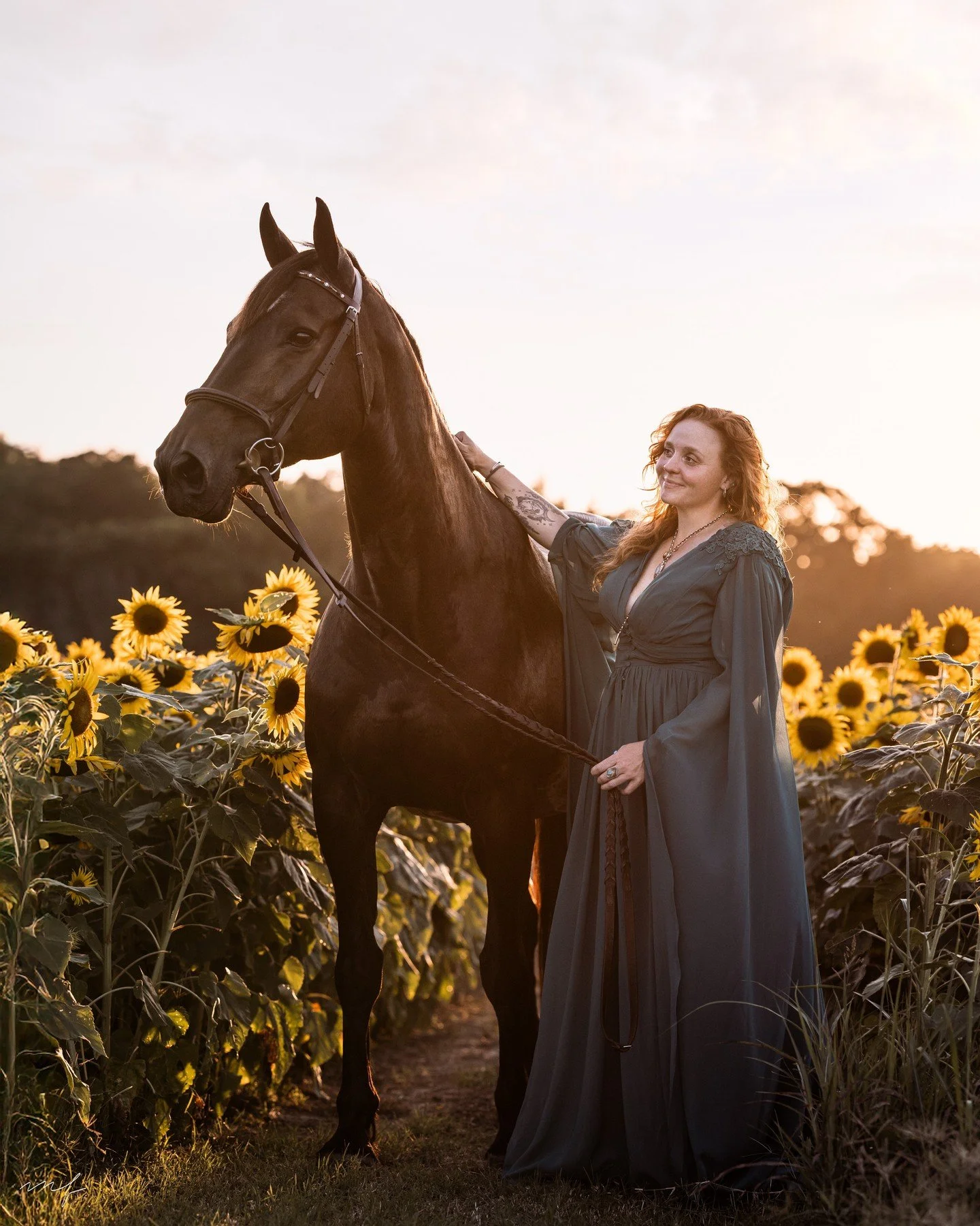 Probably one of my favorite sunflower sessions this year 🌻