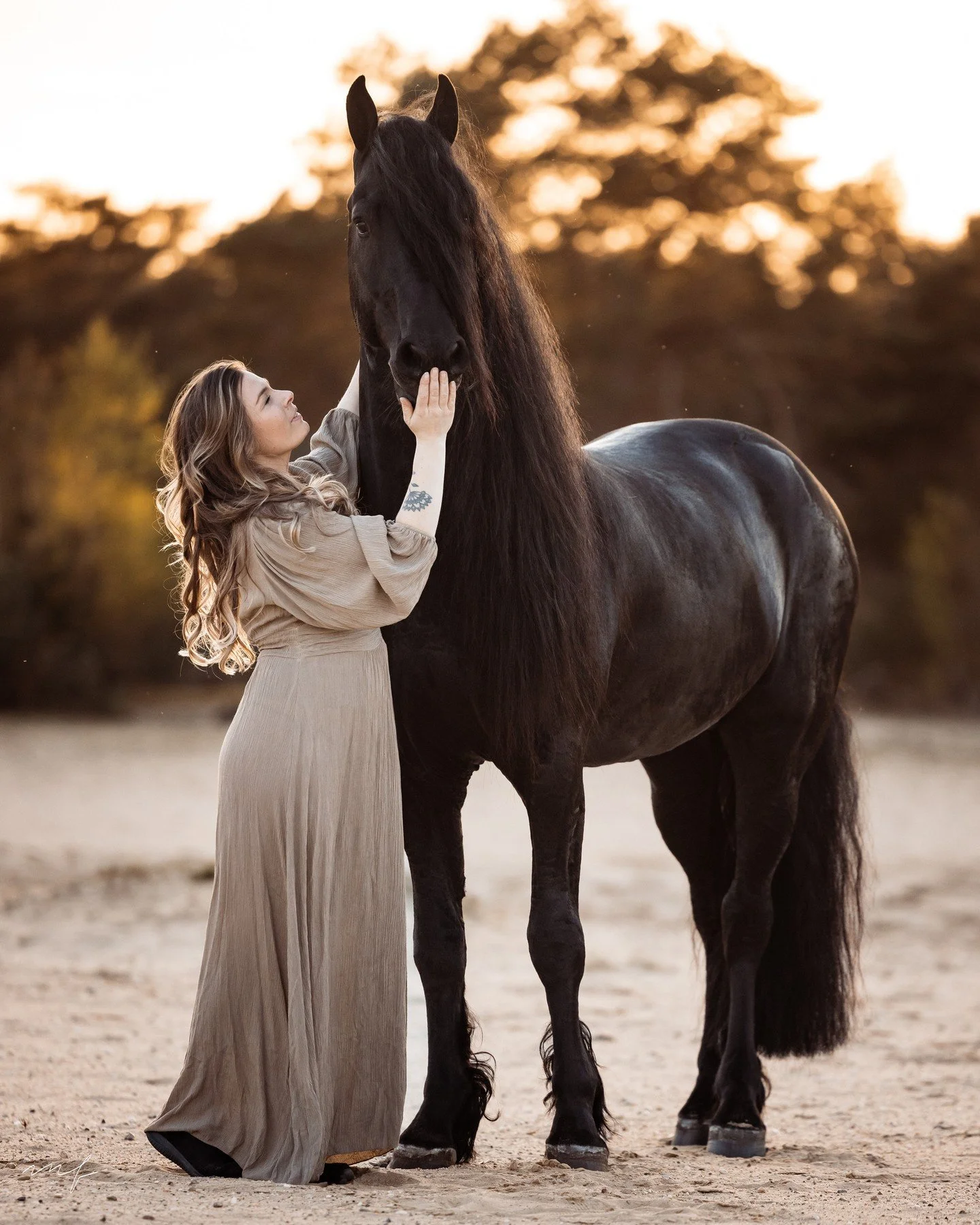 You may call it the last day of Summer, but it's the first day of Fall for me 🍂⁠
.⁠
#EquestrianPhotographySession