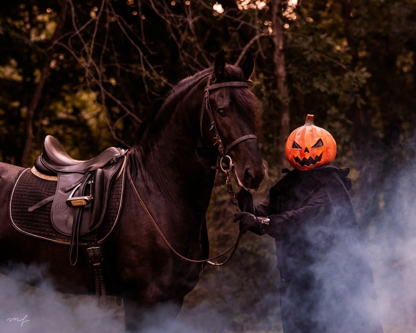 I think I can squeeze in a last minute Halloween shoot Sunday. DM me for details!