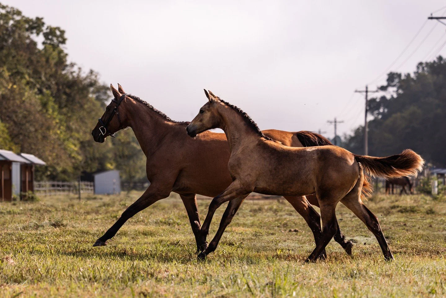 Just a little before and after magic 🪄