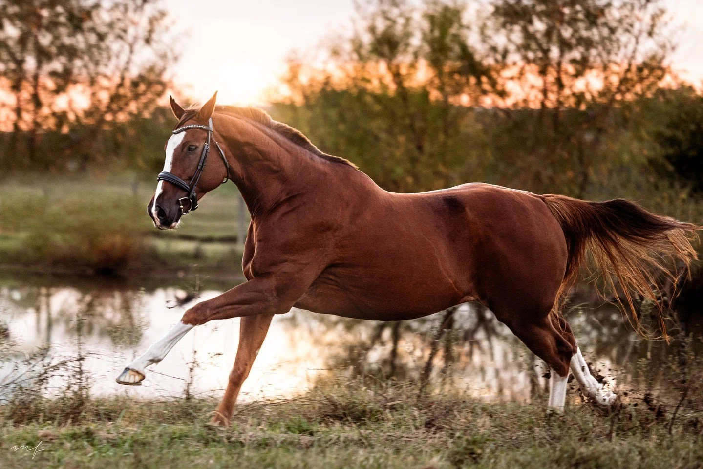 Well that happen...but I made the best of the situation and of course kept taking pictures in hopes I could salvage the situation in post. Not too bad!