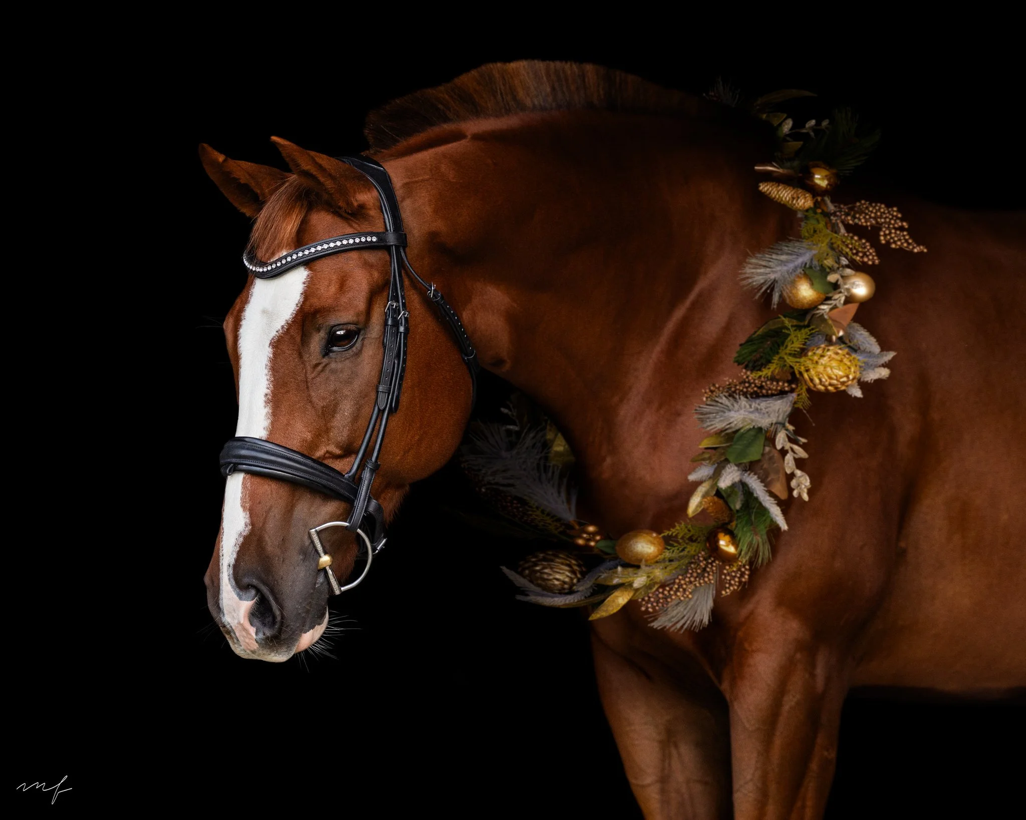 I still have spots open for Christmas Wreath Minis and I'm dying to capture all the Christmas cheer! Comment below if you want deets 🫠