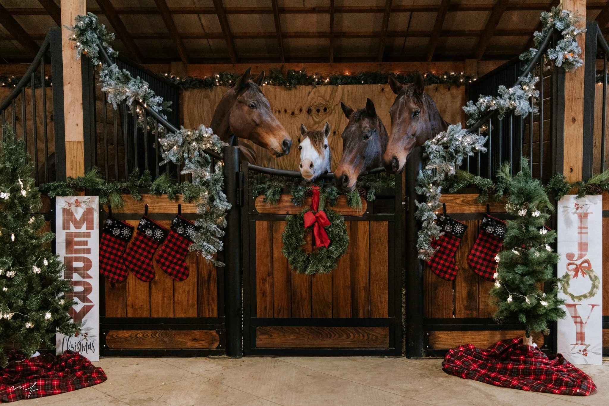 Baby it's cold outside! Let's share Christmas in the barn with the ponies 🎄