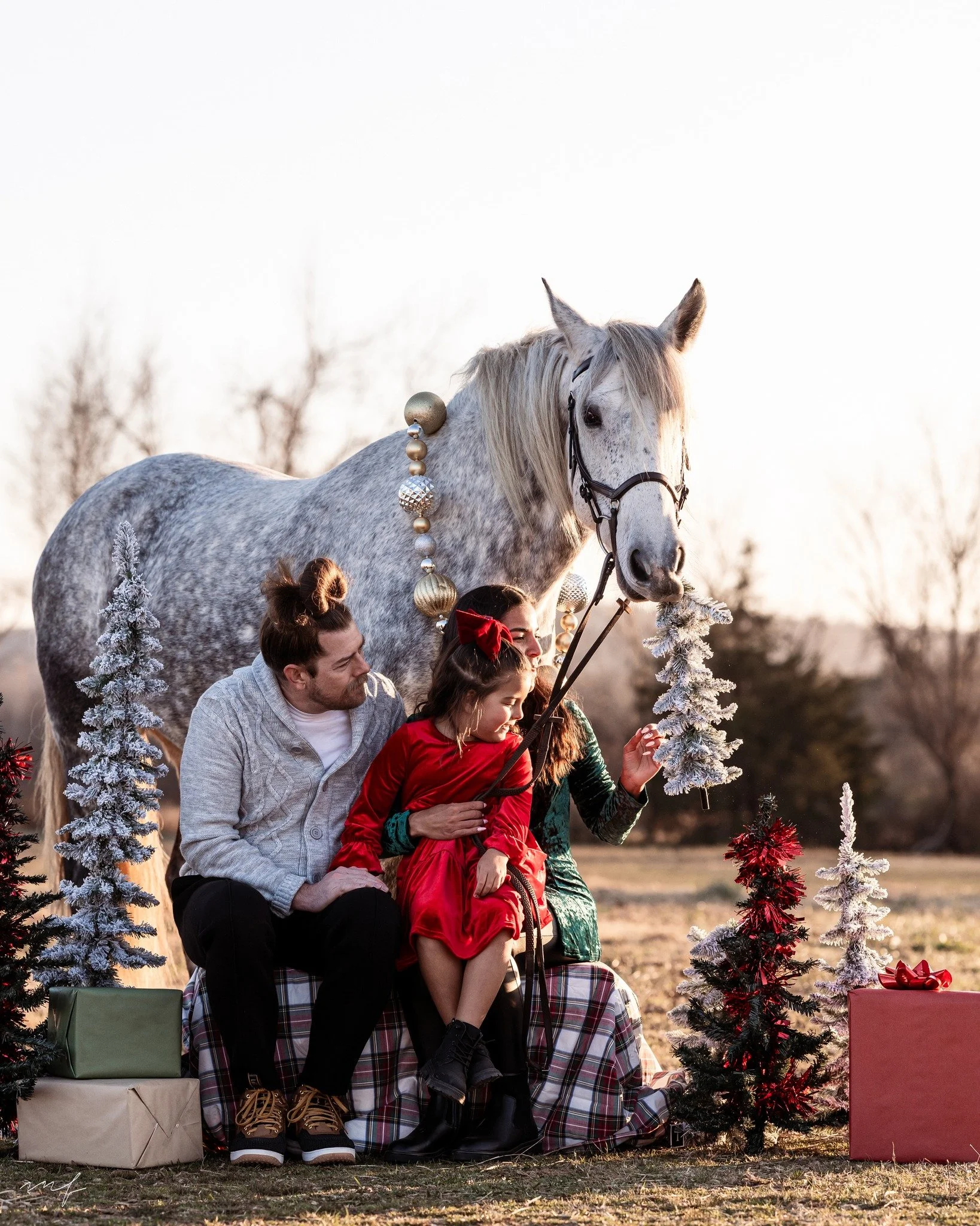You think Rhea will be on the Naughty or Nice list?
.
mariahfarmerphotography.com | Timeless photos for those devoted to the horse.