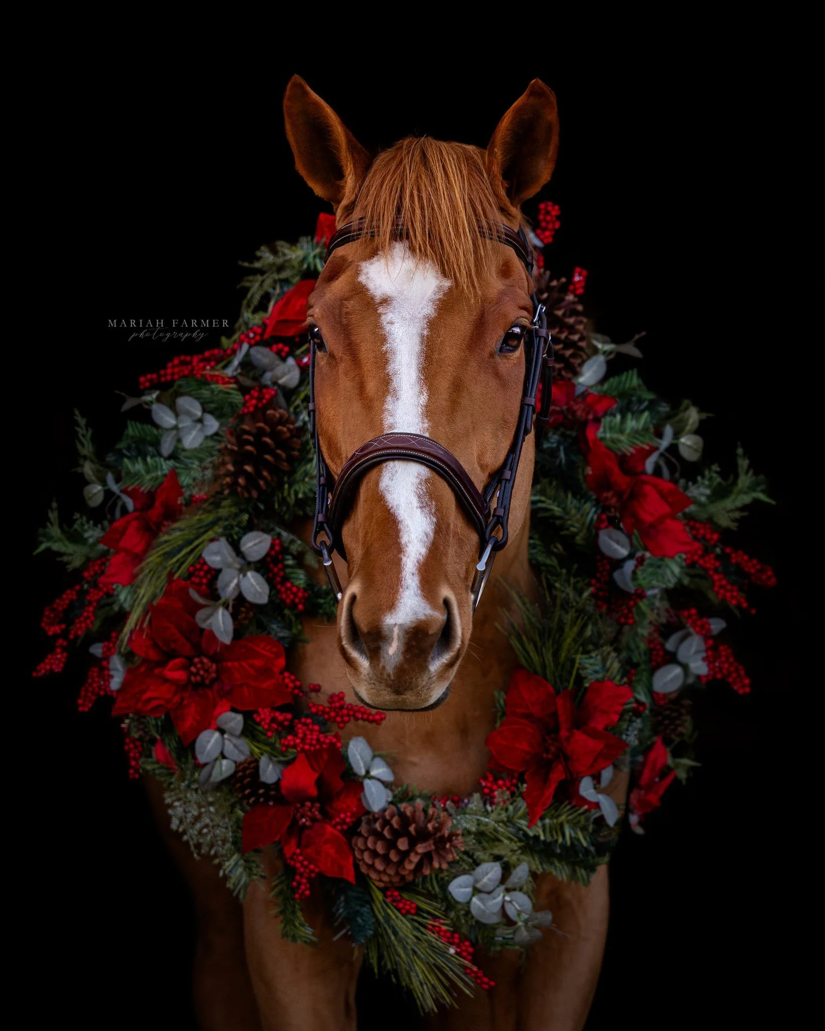 I spent hours making Clementine look like the queen that she is for her holiday photo. And sure I could have simply clicked a button and had Ai generate a fake version of her but when we support authentic artists, creativity stays honest and inspired