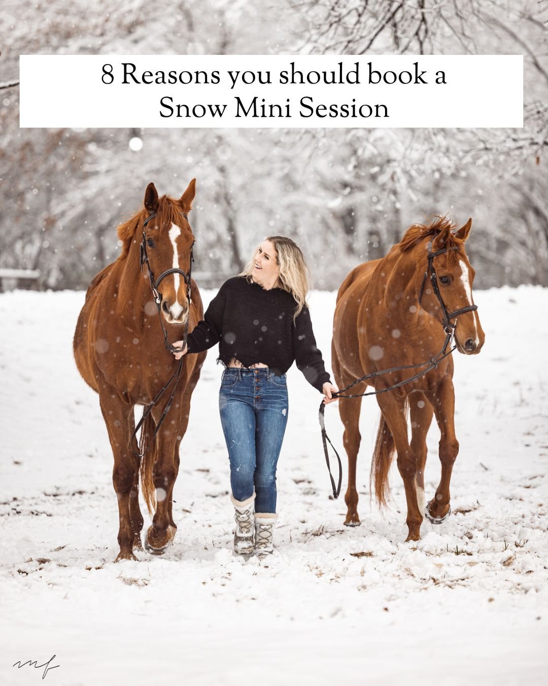 I think the 5th reason is the real reason I do snow minis...but I digress.