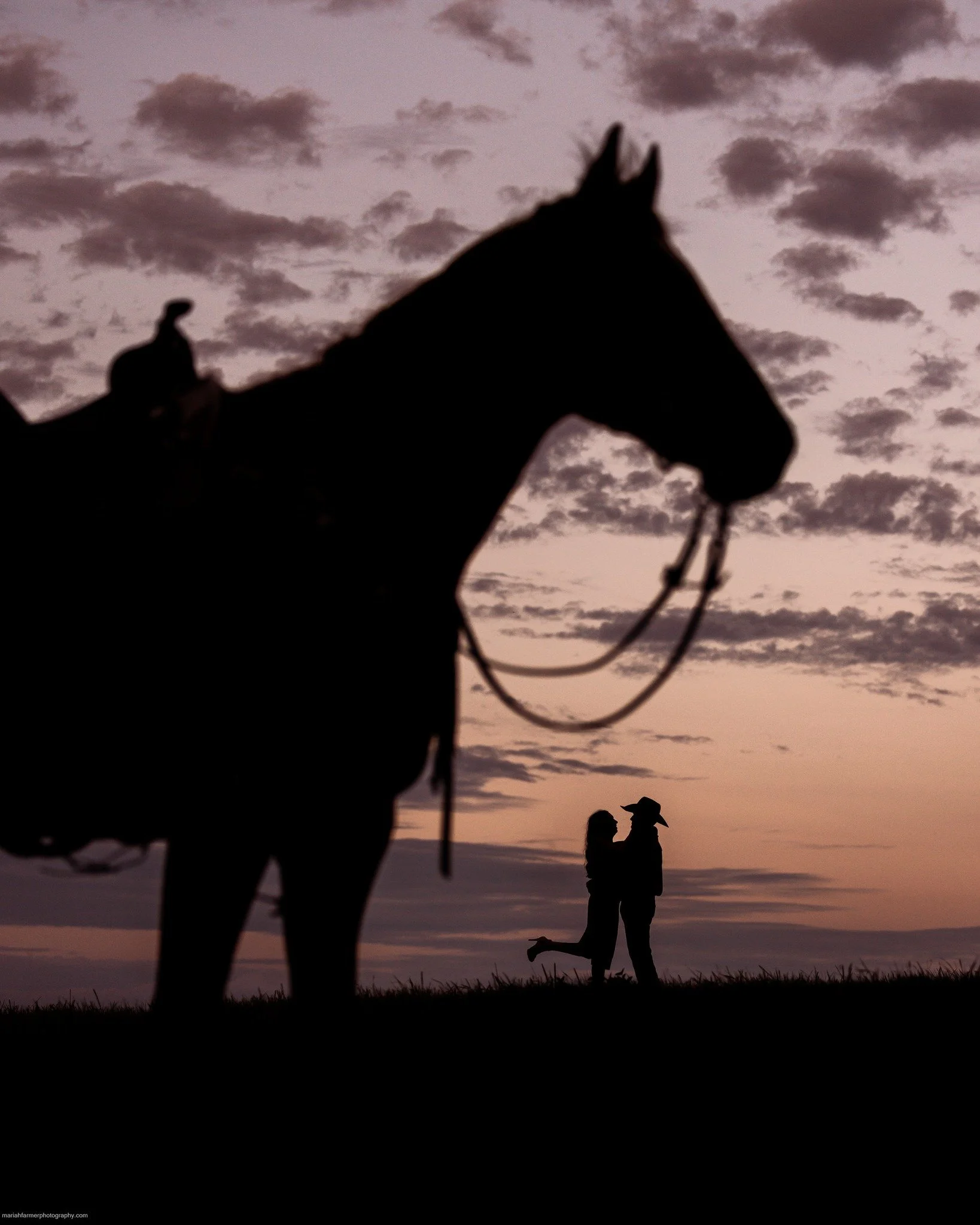 Long after the flowers are gone, this is what remains 💕💕
.
mariahfarmerphotography.com | Timeless photos for those devoted to the horse.
