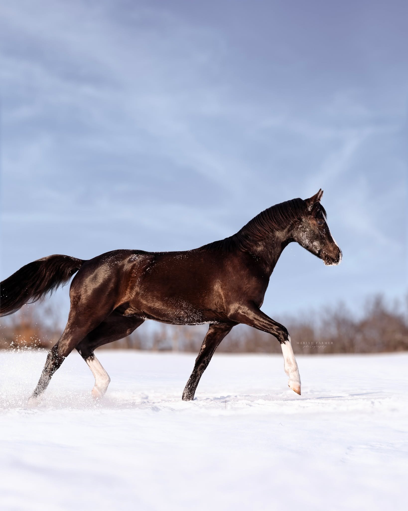 Editing challenge! First one to correctly find them all gets a virtual gold sticker 🏅 Comment your guesses!