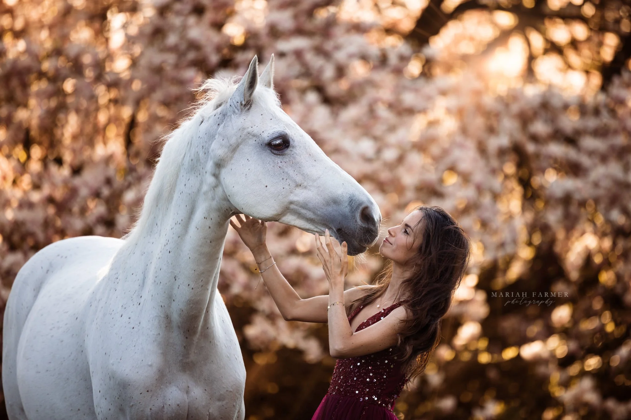 Did anyone else notice everything started blooming early? Got me thinking about early spring sessions 📸