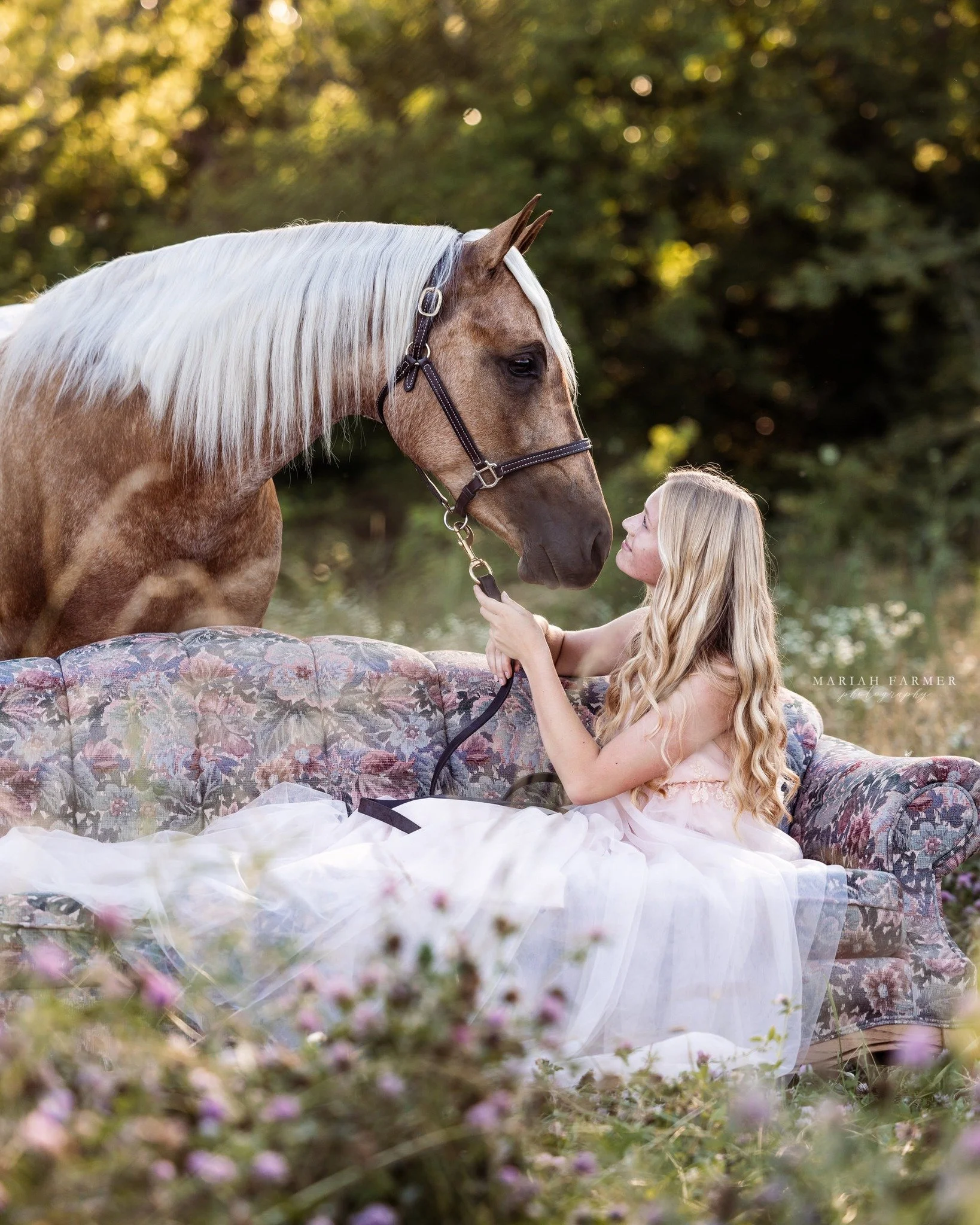 I'm starting to book my Spring Sessions. If you've been thinking about doing a session this next season, contact me now for dates 😉