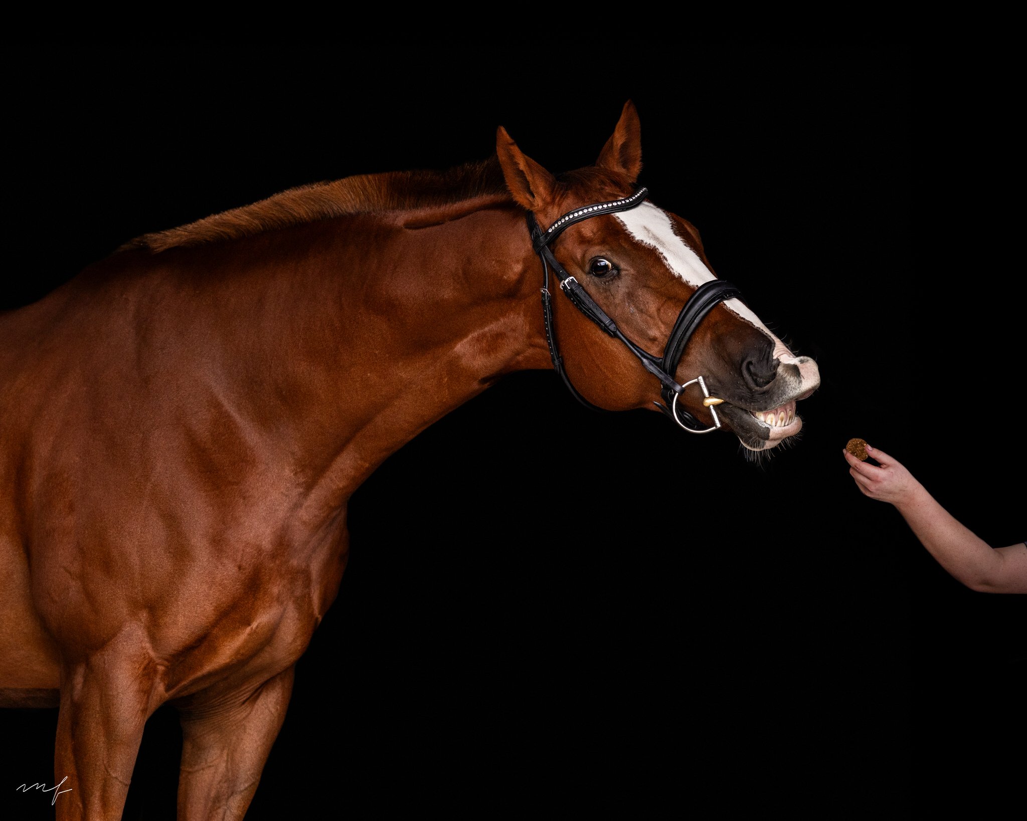 Facebook says it's Pi Day but all I got is a cookie 🍪