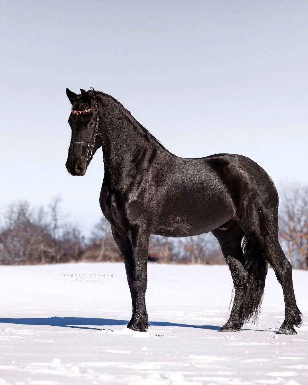 Tomke seeing us out for the last days of winter. Who saw the snow flurries yesterday?
