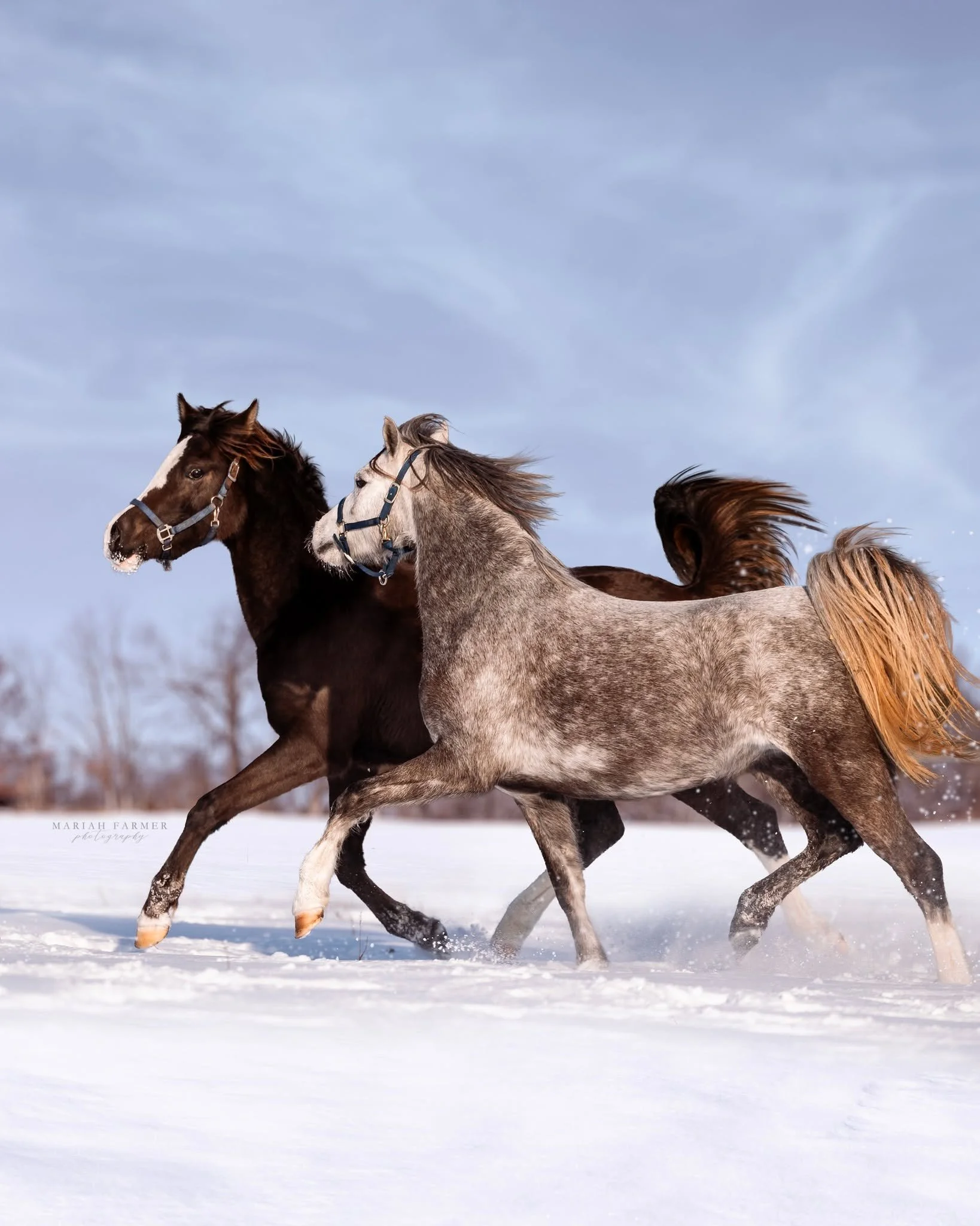 Editing isn&rsquo;t about changing the moment, it&rsquo;s about revealing what I saw.
.
mariahfarmerphotography.com | Captured through my lens, never generated.