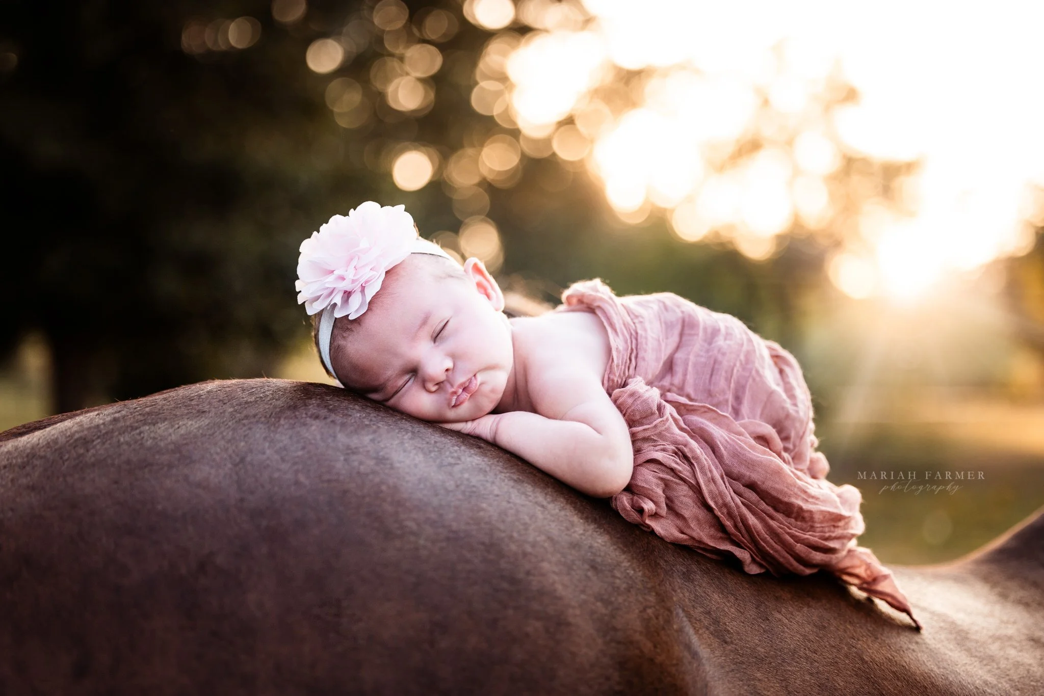 No, I am not a baby photographer but if you tell me you want to include your horse, you bet I will plan your session with safe hands and clever editing. Do you think she was really on the horse's back for this shot?