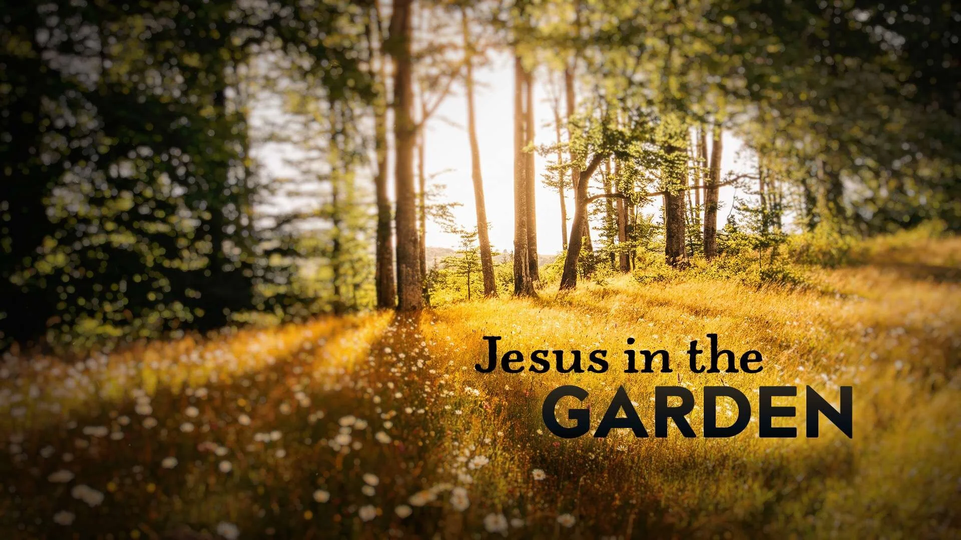 Easter Sunday Service