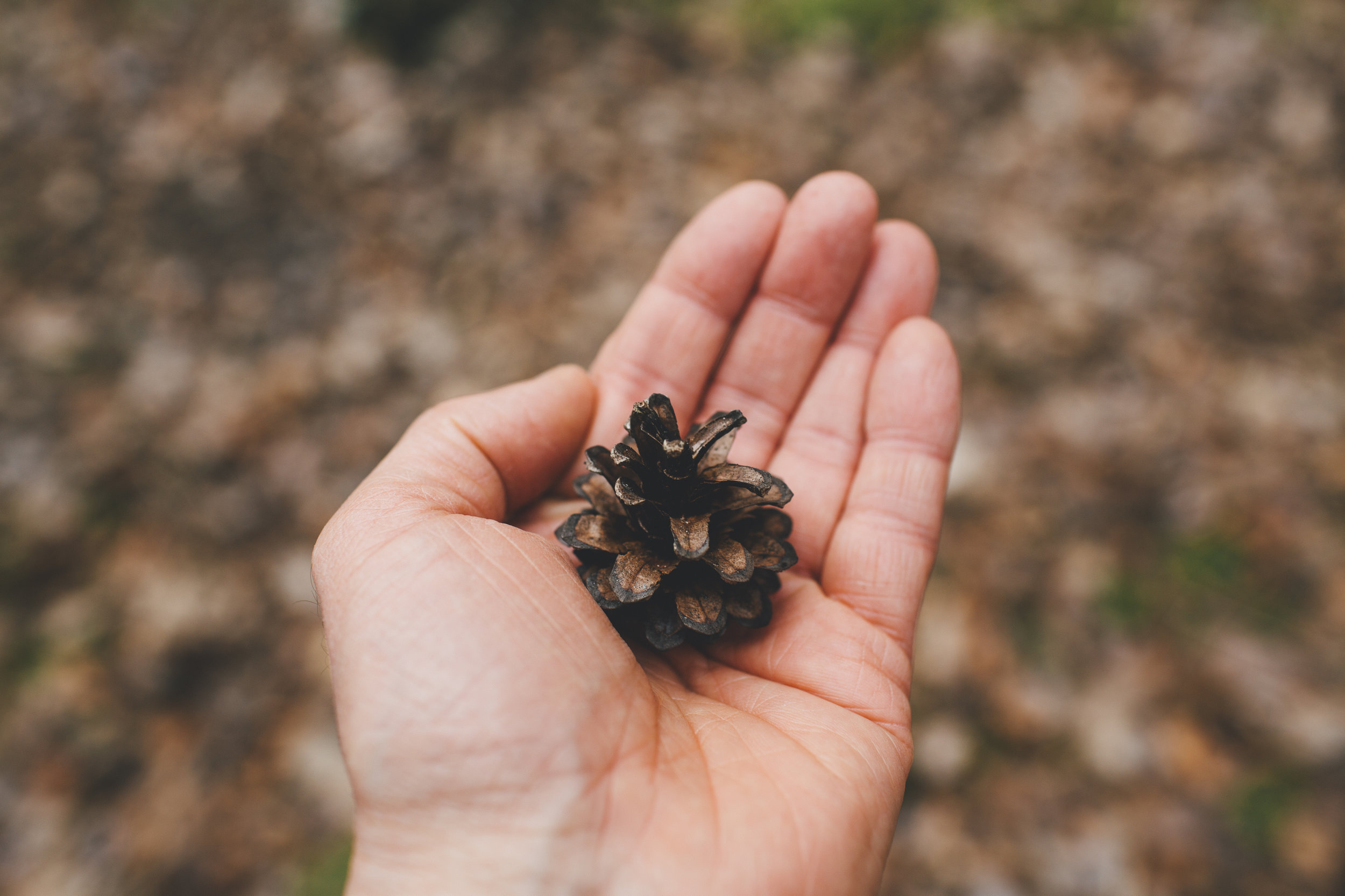 Weekly Service - Sunday 11th October