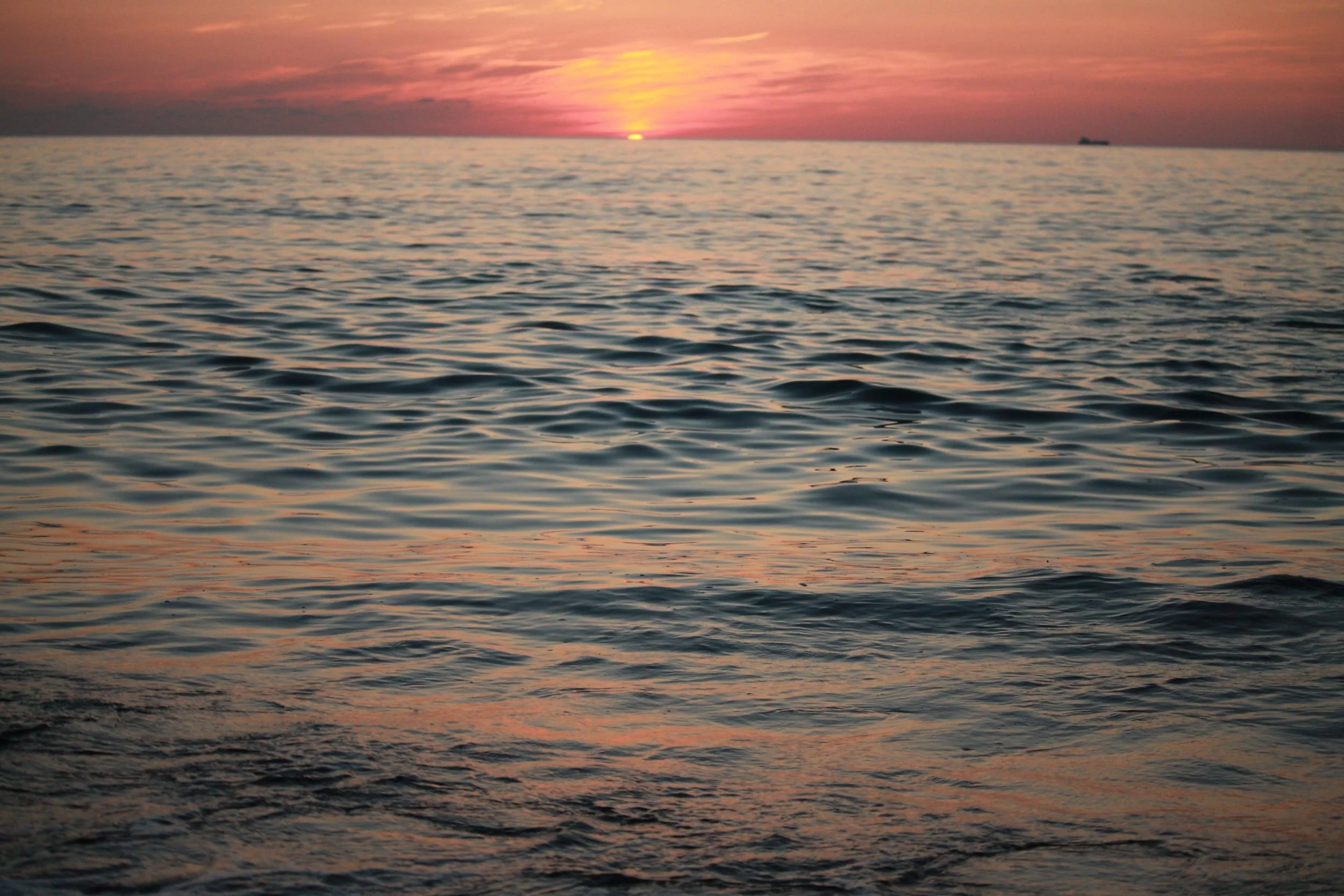 Weekly Service - Sunday 17th January