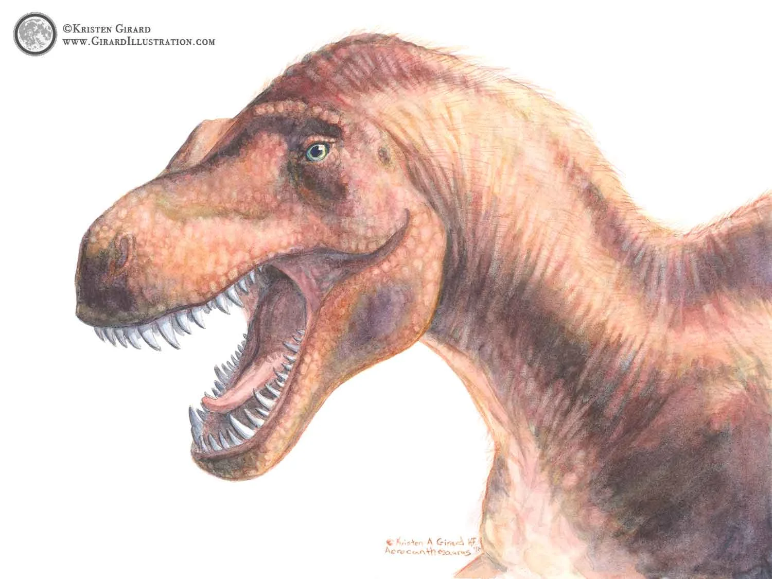 Acrocanthosaurus atokensis