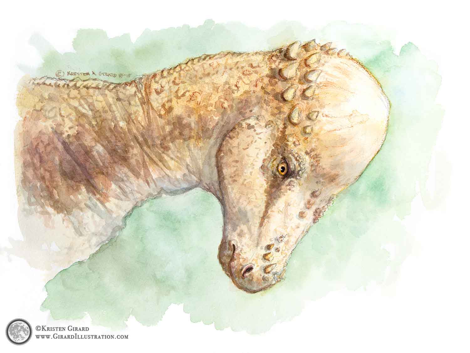 Pachycephalosaurus Dinosaur Art