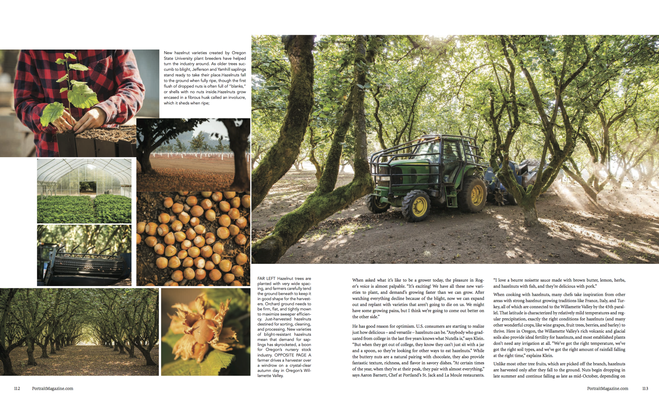 HAZELNUT STORY _ FULL PR 33 Portrait Magazine_Spreads (dragged) 3.png
