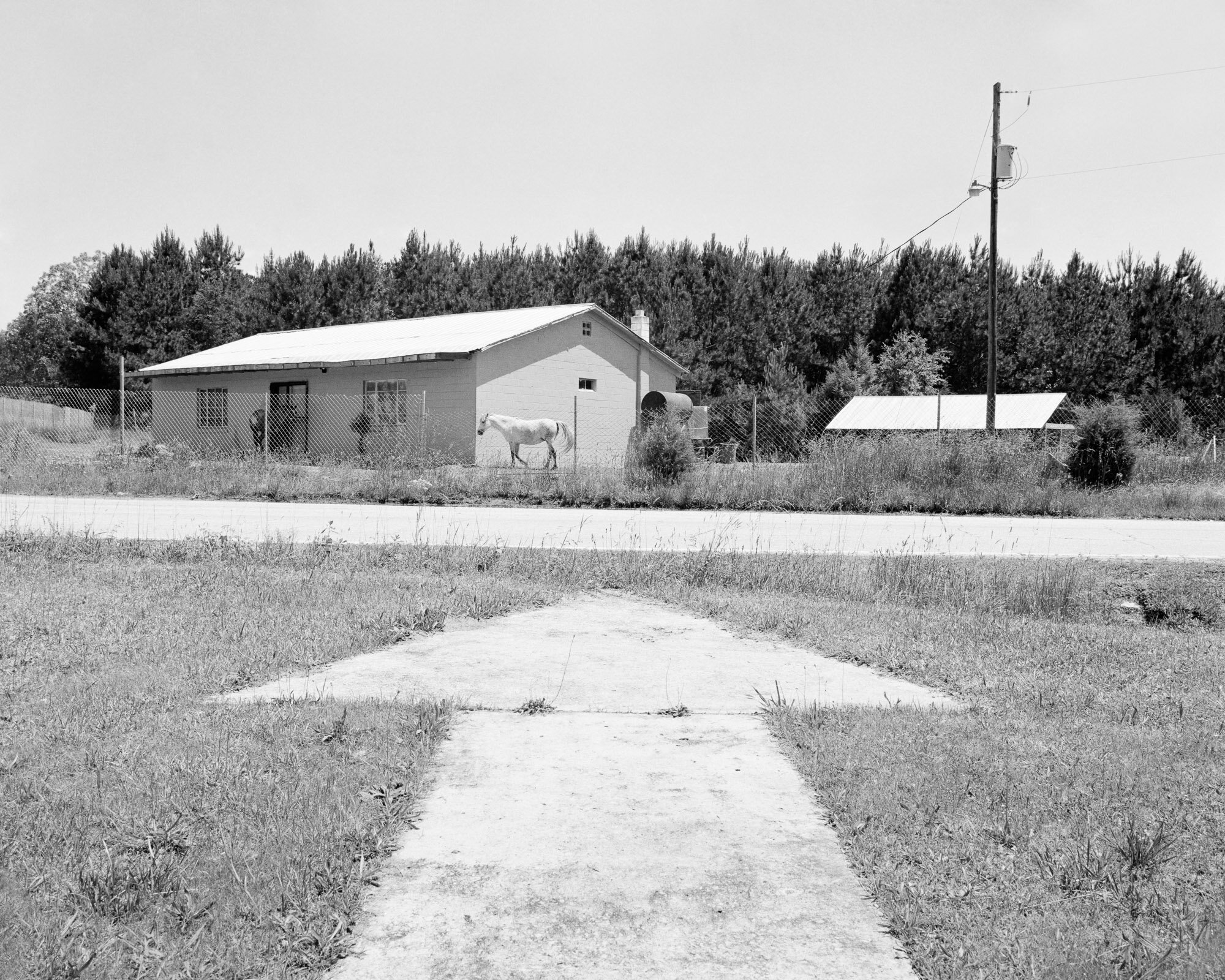 KDBGM_14.jpg