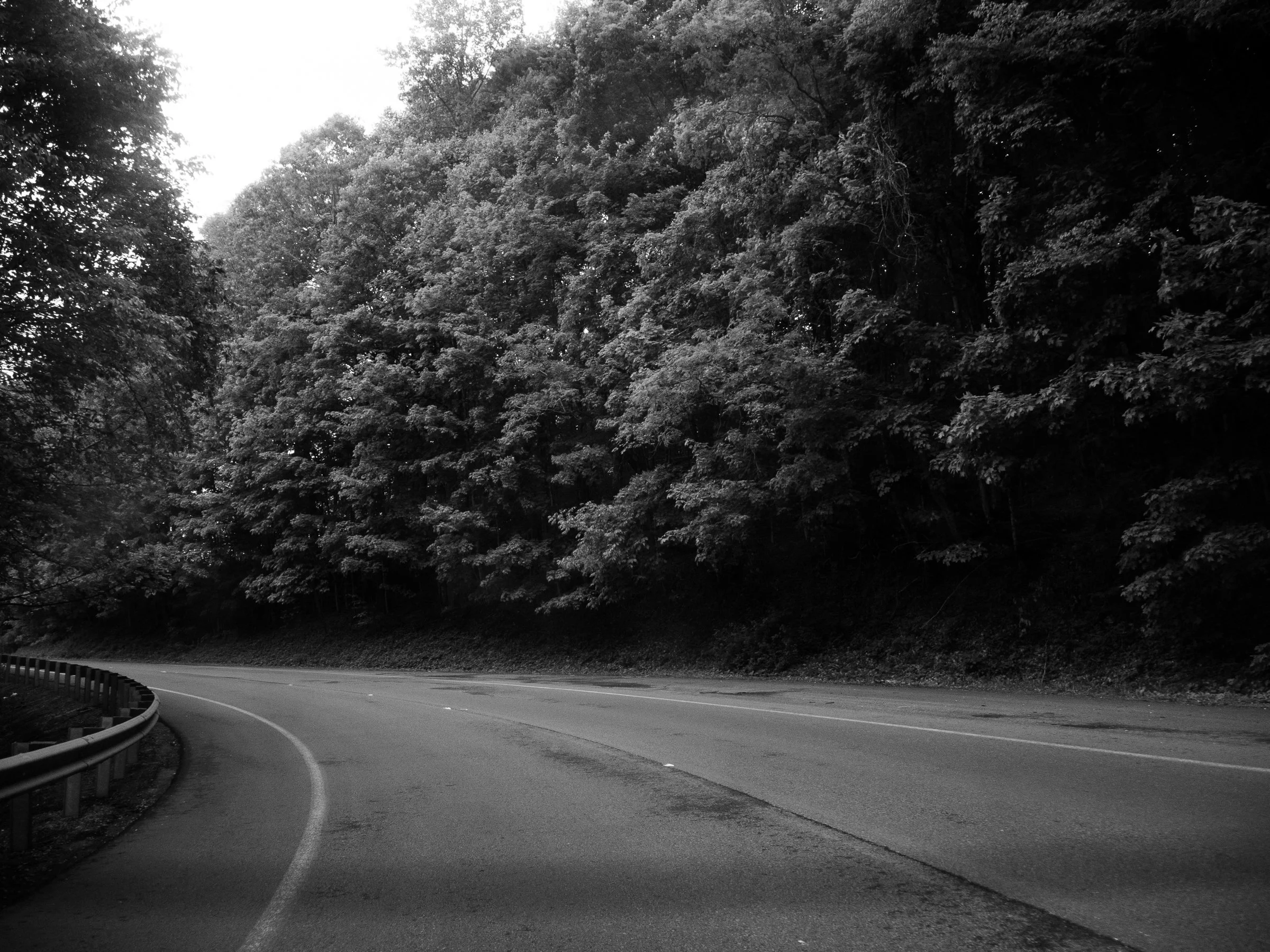 FORSYTH_24.3 MPG_06.jpg