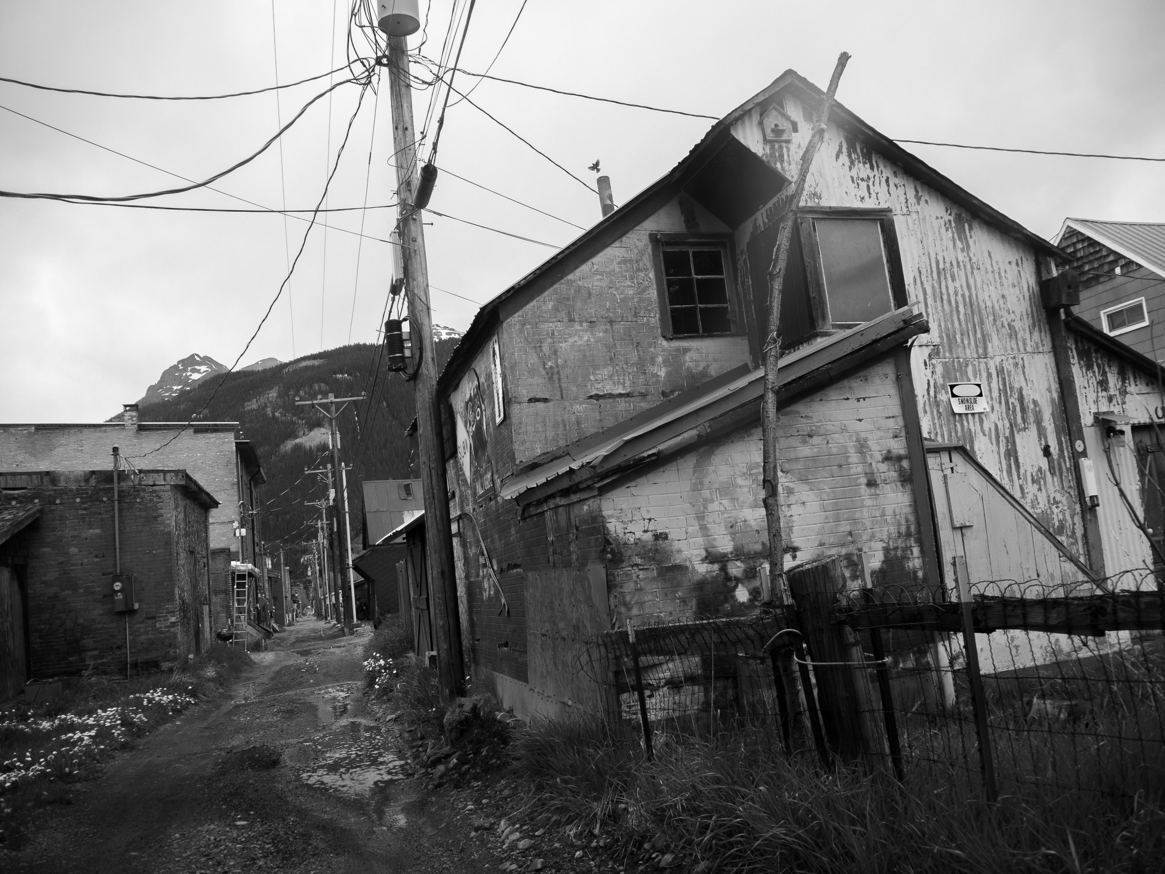 FORSYTH_24.3 MPG_10.jpg