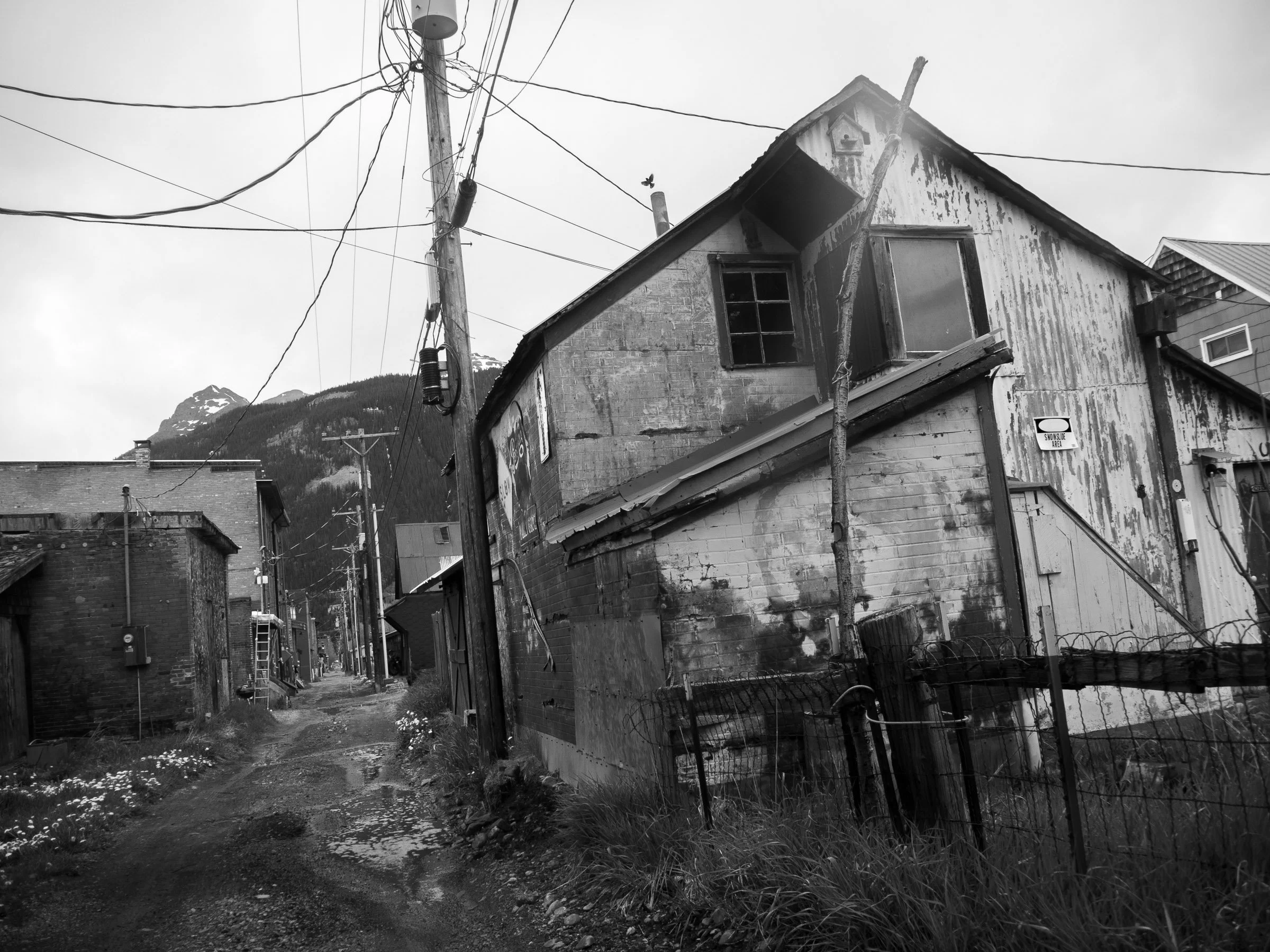 24.3 MPG Web 005.jpg