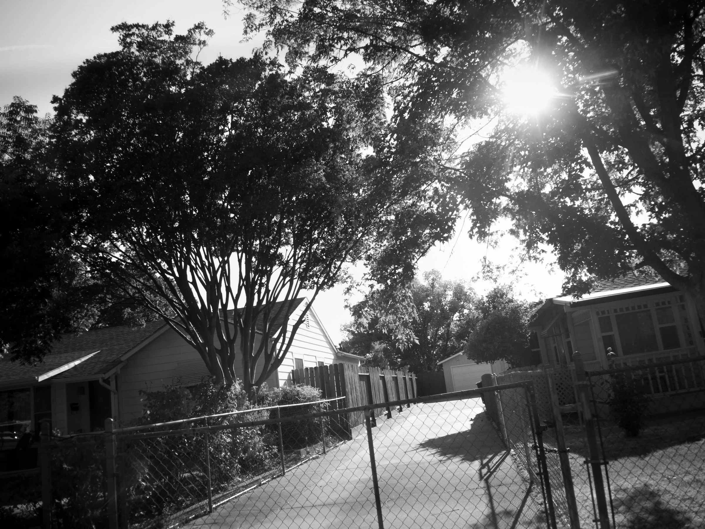 24.3 MPG Web 009.jpg