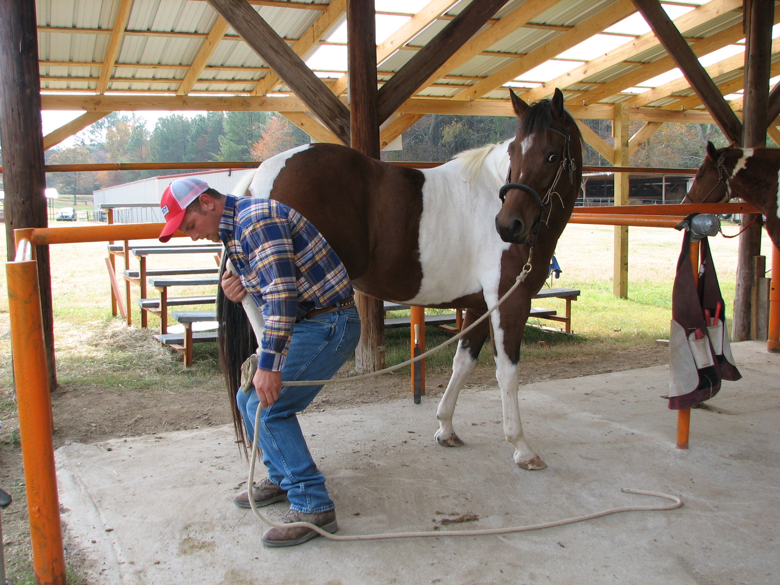Safe Horse Handling
