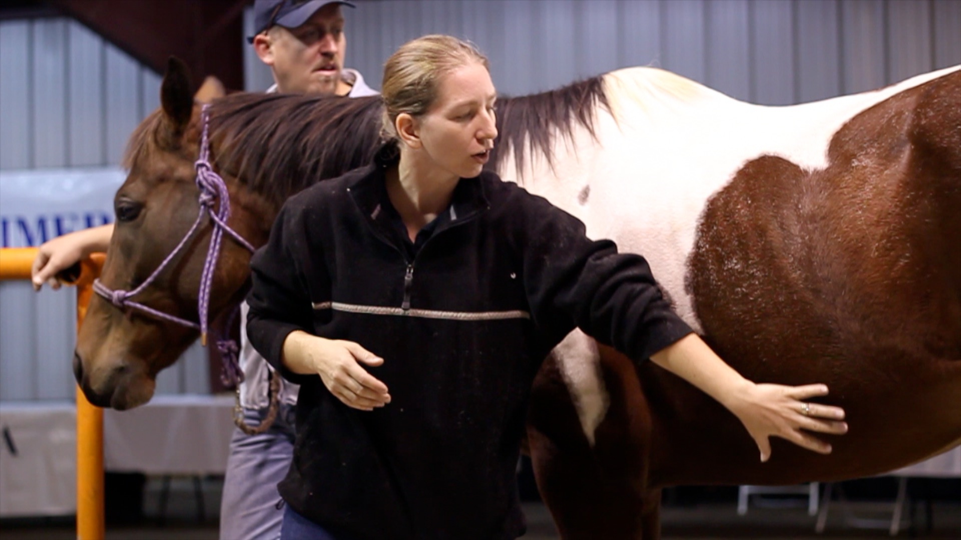 Saddle Fitting