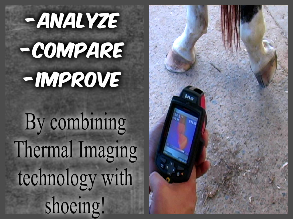 Link thermal imaging color correct.jpg