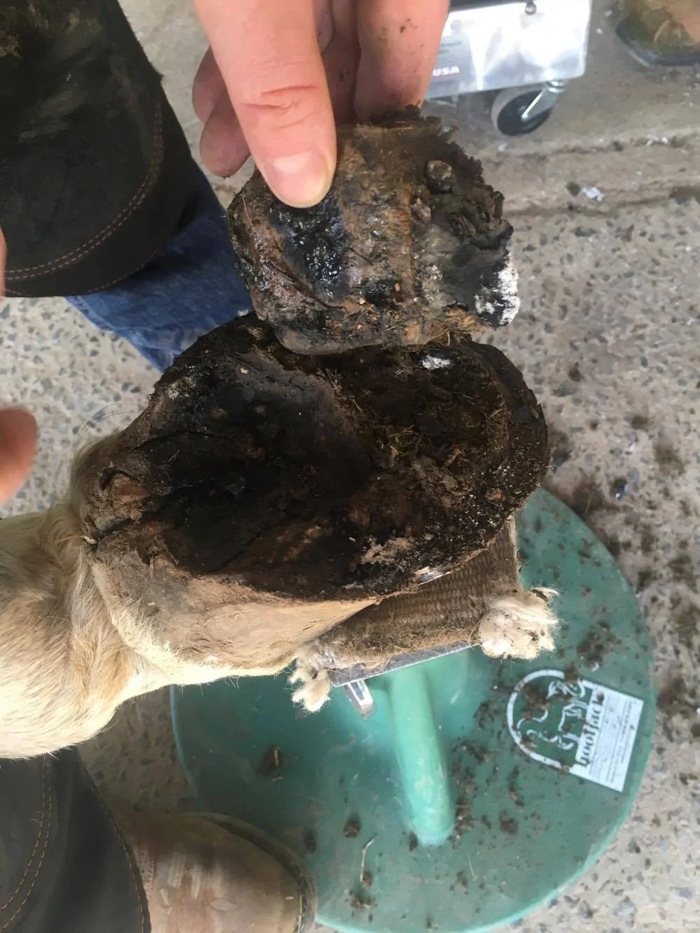 Huge rock removed. 