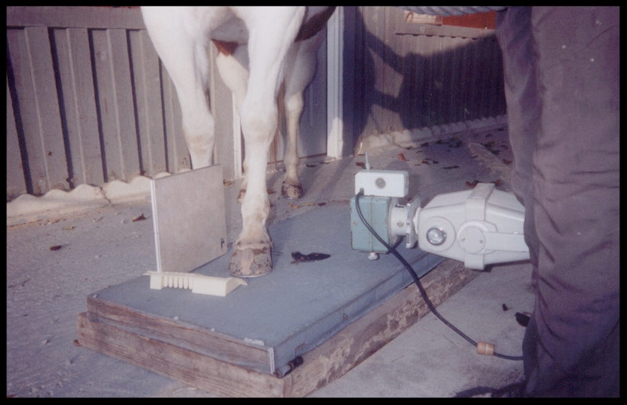 X-Ray Machine.jpg