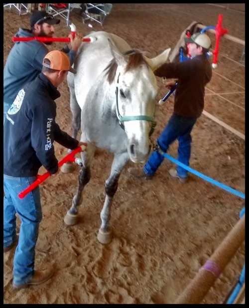 Texas Slideshow 11.jpg