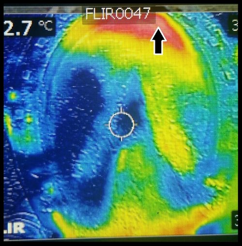 Thermal Imaging Speeds Up The Evaluation Process To Better Understand Any Lameness. This horse’s issue was sole pressure. The sensitive structures under the sole cannot take the full weight of the horse. The thermal shows exactly where the pressure is. Shoes were removed, sole pressure relieved and shoes re-applied. This horse was then sound with minimal physical evaluation.
