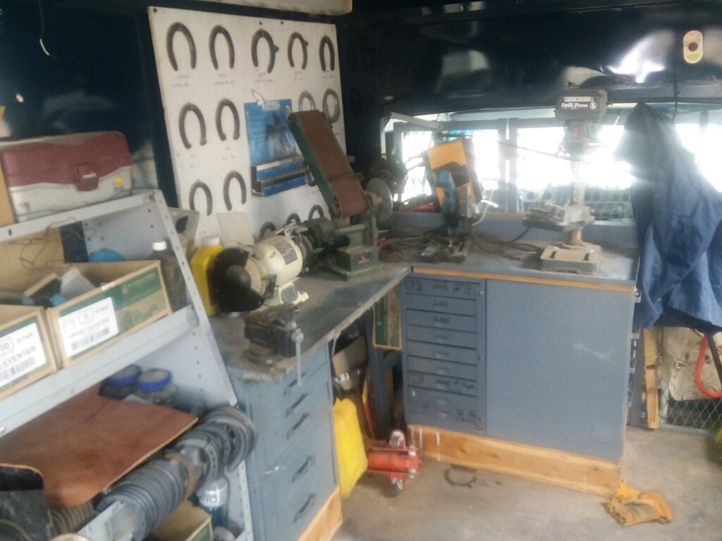 imagejpeg_0(2).jpg