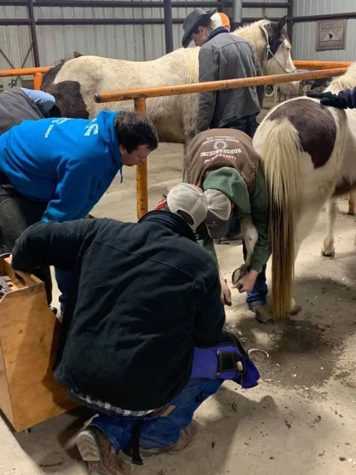 Horseshoeing School