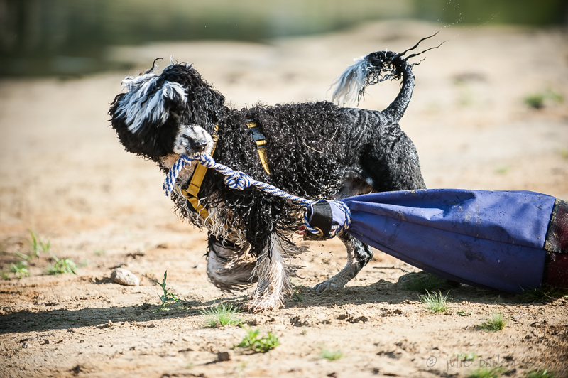 Call Retrieving his bag
