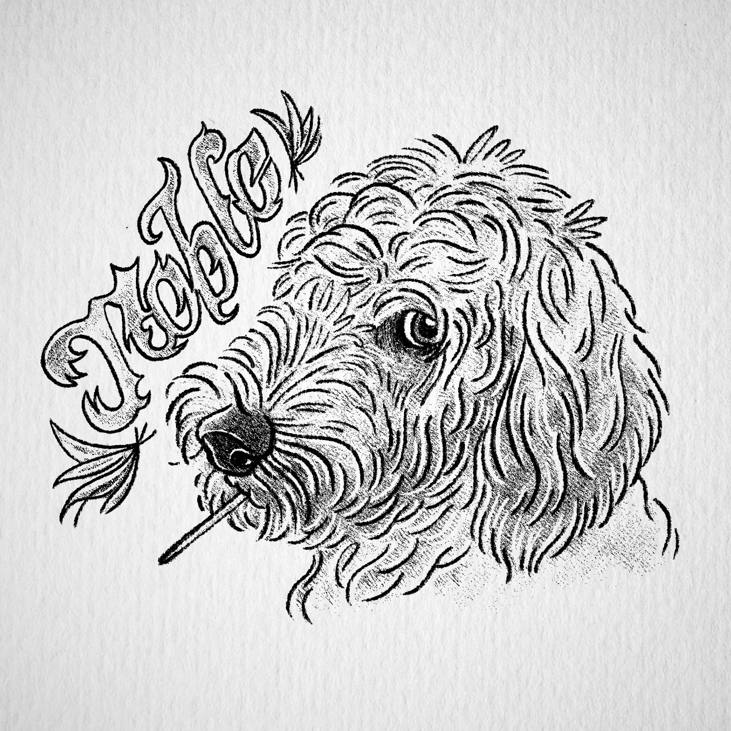 Portland, Oregon. Illustration, Lettering, Design. Micah Bowers
