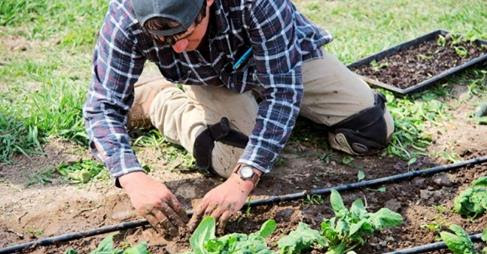 Steve working in the field