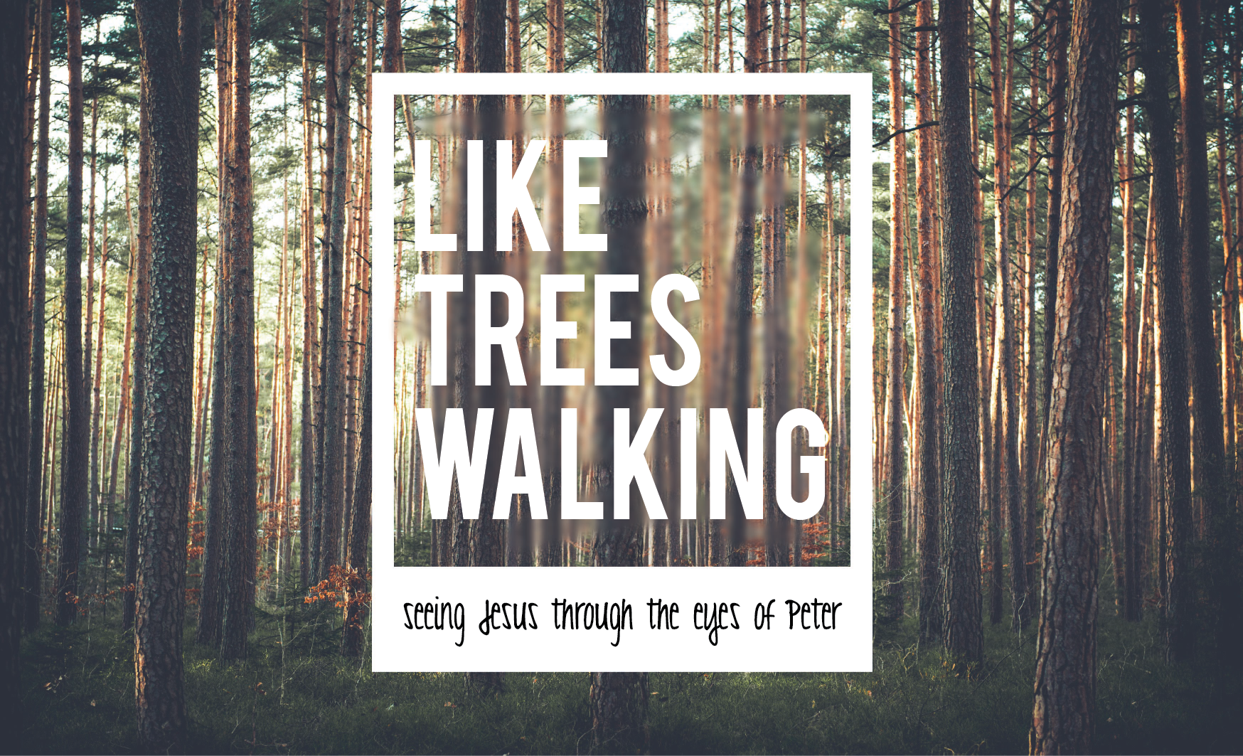 Like Trees Walking.png